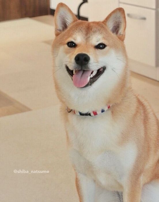 1才になったなつめちゃん