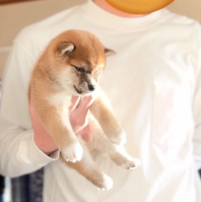 生後2カ月のつくねちゃん