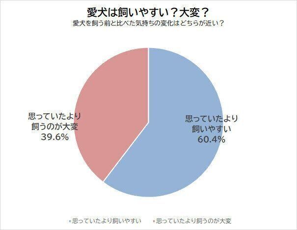 愛犬は飼いやすい?大変?