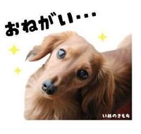 ユリアちゃんのスタンプ