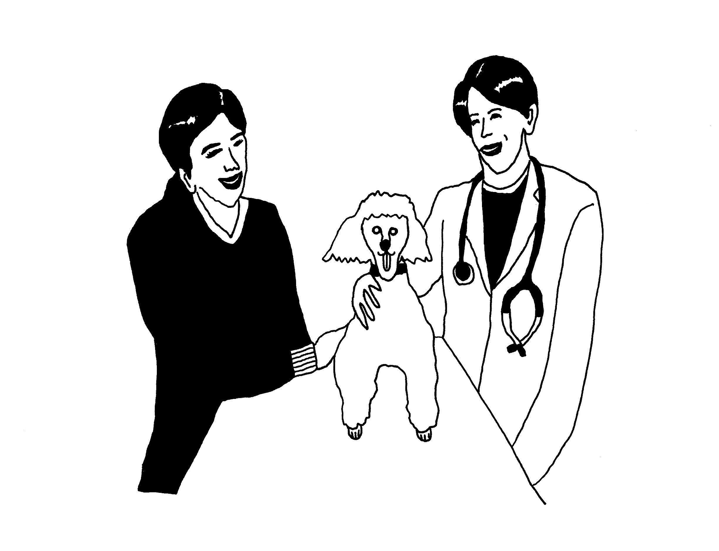 イラスト／sho miyata