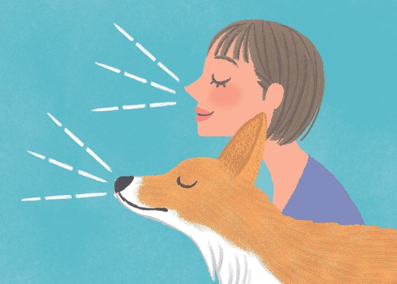 イラスト／片山智恵