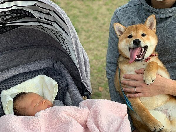 笑顔で家族写真に写るゆずちゃん