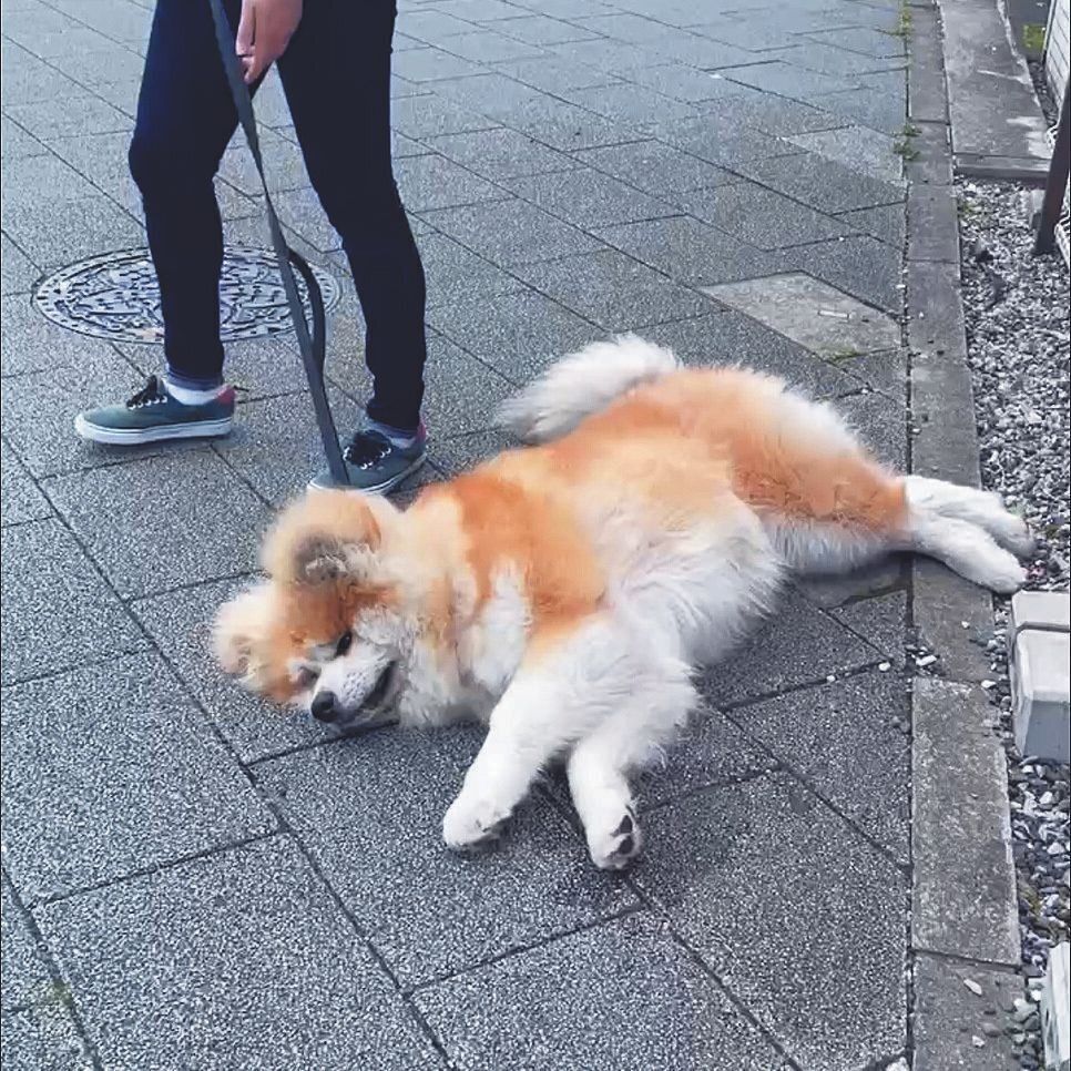 写真提供／K.Y.さん