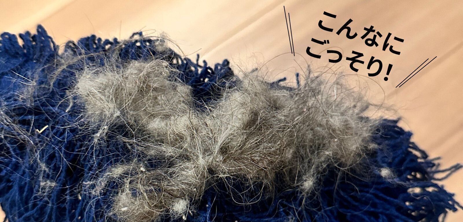 ダスキン　ペット専用モップセット　犬　抜け毛　換毛期　ペット用フロアモップ　モップクリーナー　ホコリ　フローロングの掃除