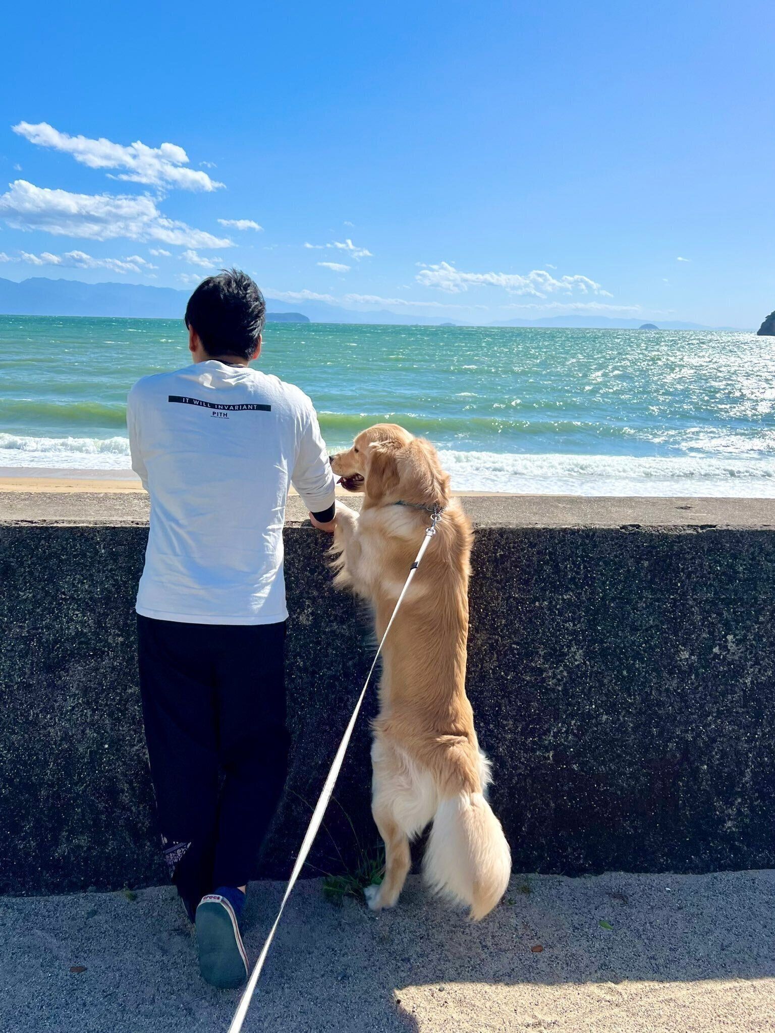 飼い主さんお気に入りの1枚