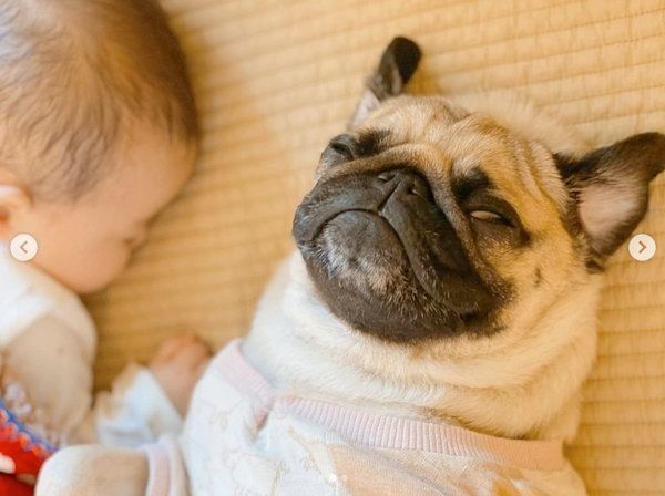 お昼寝するぱぐぞうくんと妹ちゃん