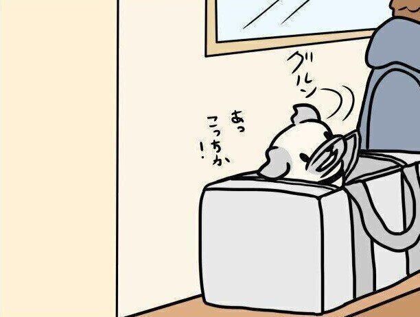 【連載】パグ犬・めー vol.139