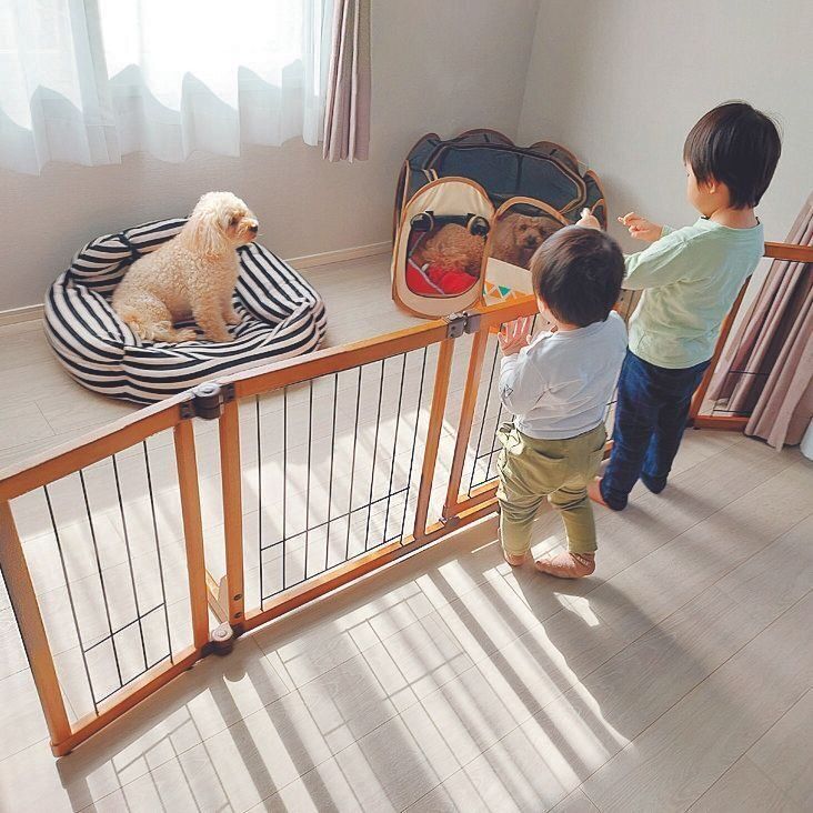 子どもはここまで！