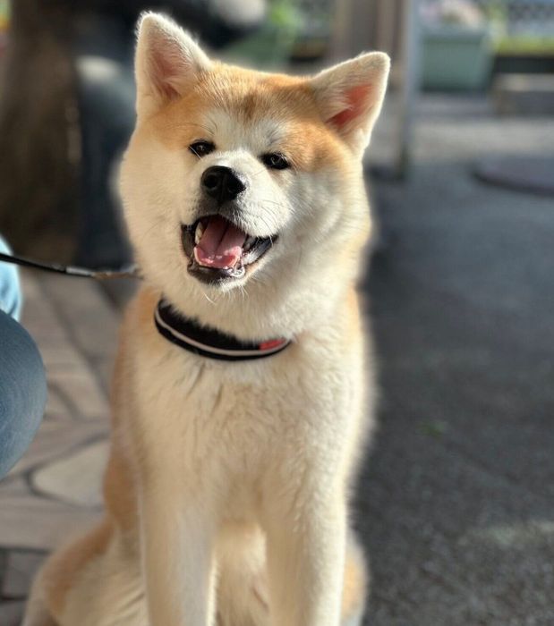 笑顔が可愛いりんちゃん