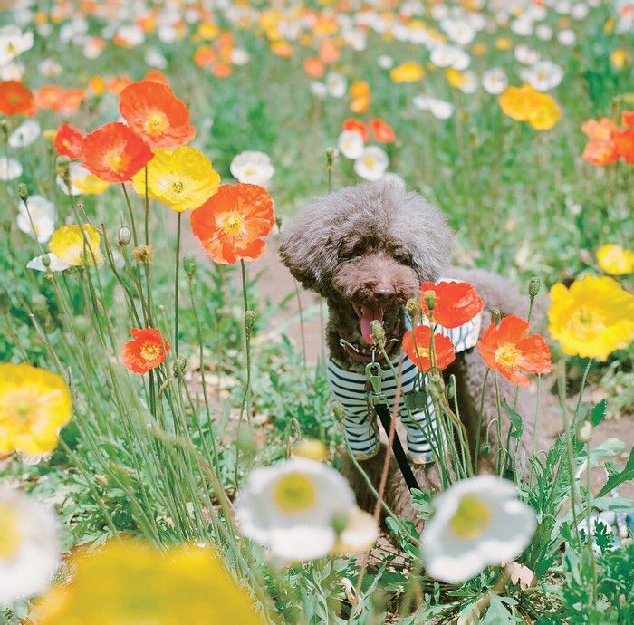 国営武蔵丘陵森林公園　埼玉