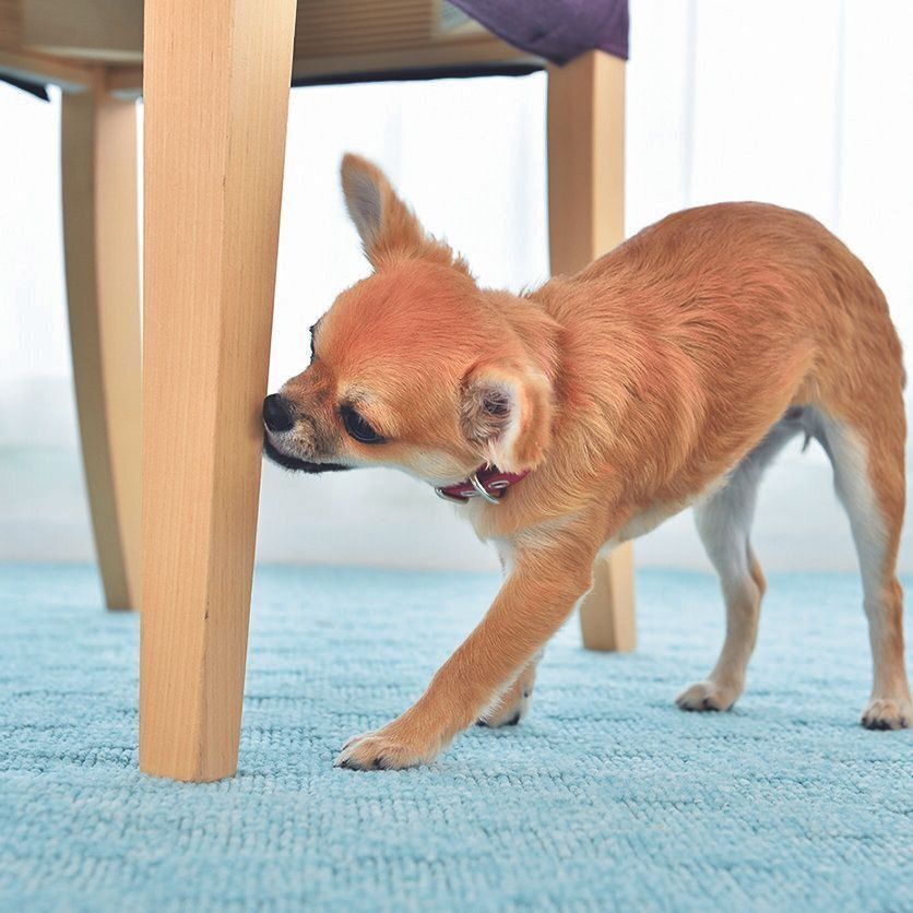 撮影／佐藤正之