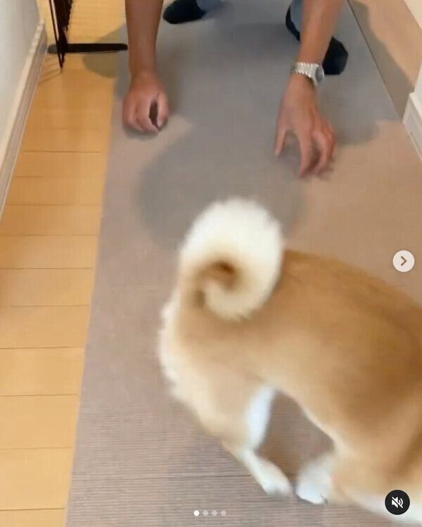 パパさんがタッチしようとすると逃げるすずちゃん