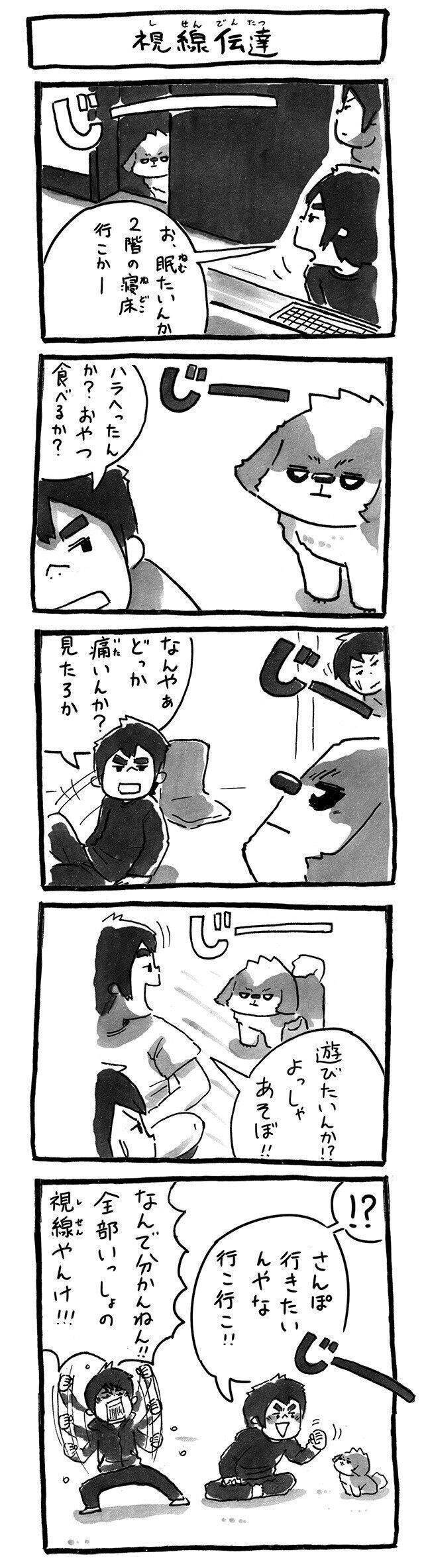 【連載】シーズー犬のてんぽ