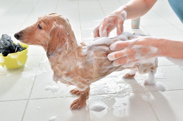 本洗いスタート