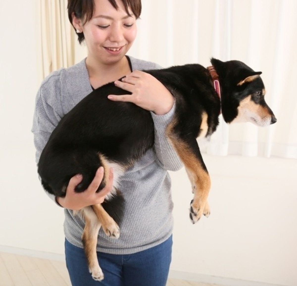 獣医師監修 犬を抱っこする正しい方法とは 抱っこの重要性やお役立ちグッズも いぬのきもちweb Magazine 獣医師監修 犬を抱っこする正しい方法とは 抱っこの重要性やお役立ちグッズも いぬのきもちweb Magazine