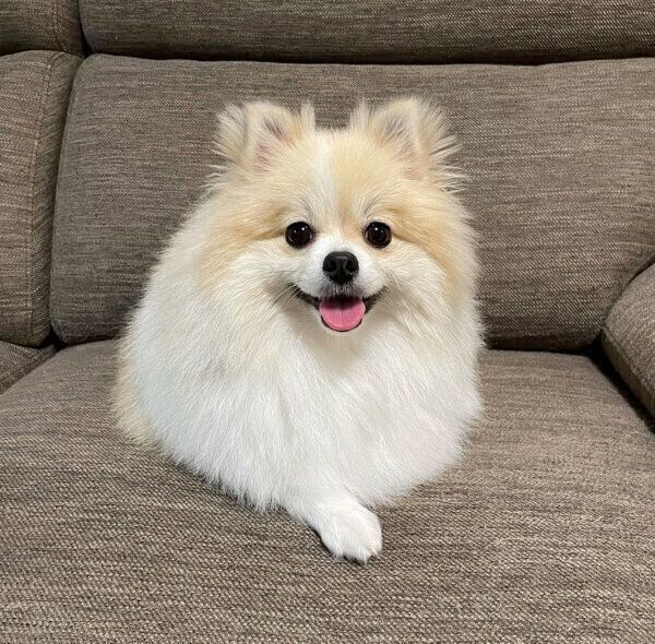 笑顔が可愛いちくわくん