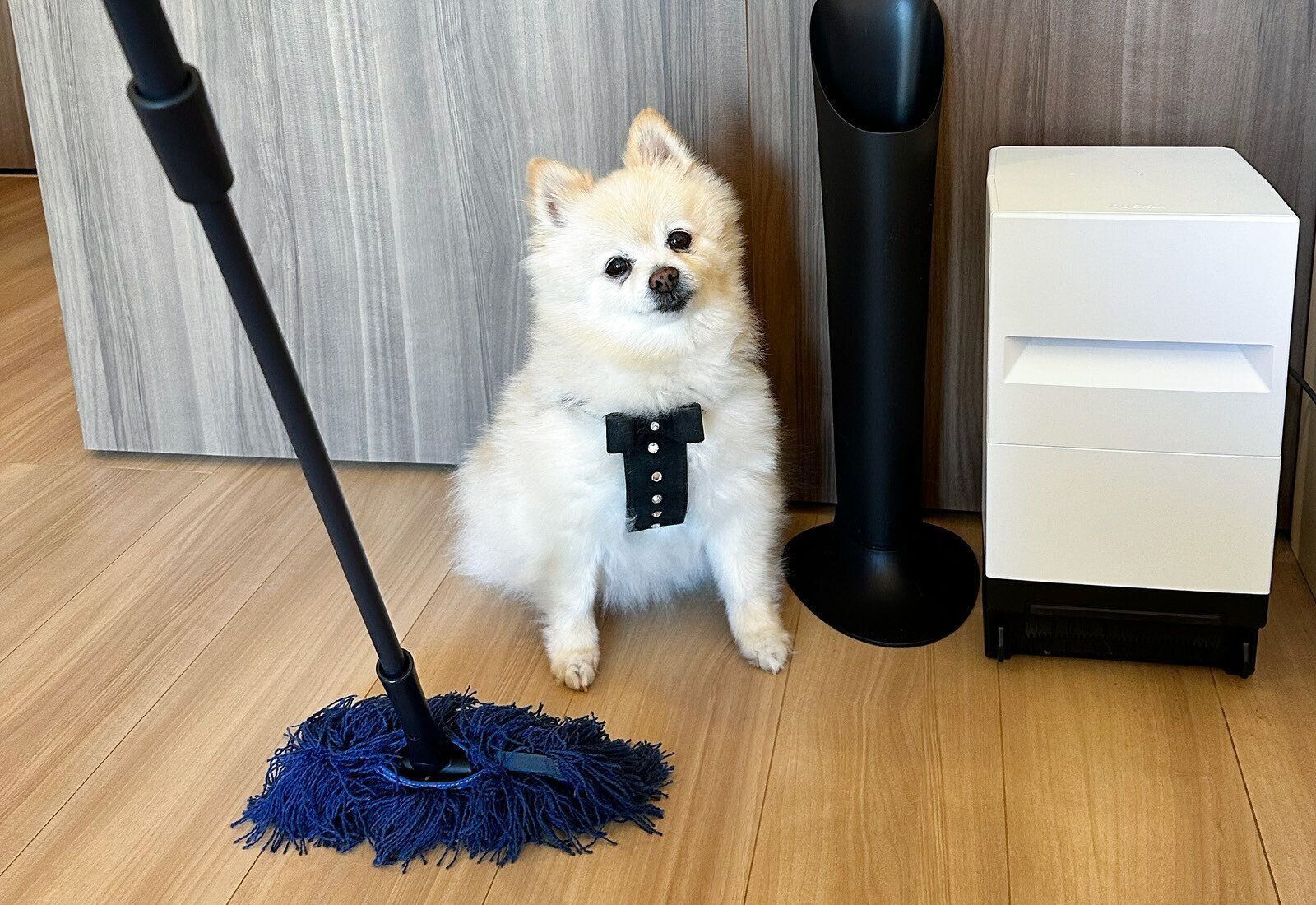 ダスキン　ペット専用モップセット　犬　抜け毛　換毛期　ペット用フロアモップ　モップクリーナー　ホコリ　