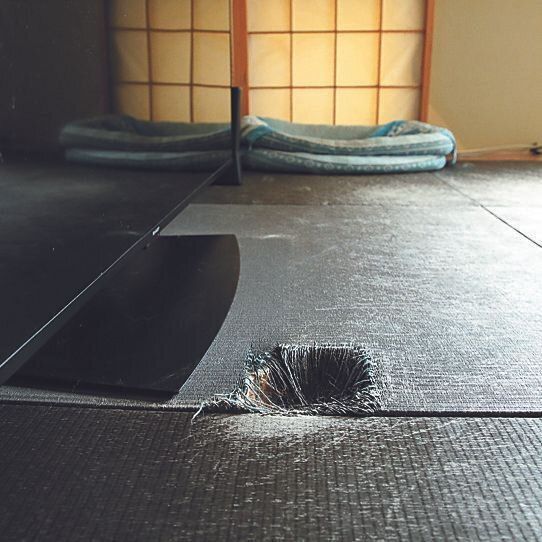 撮影/尾﨑たまき