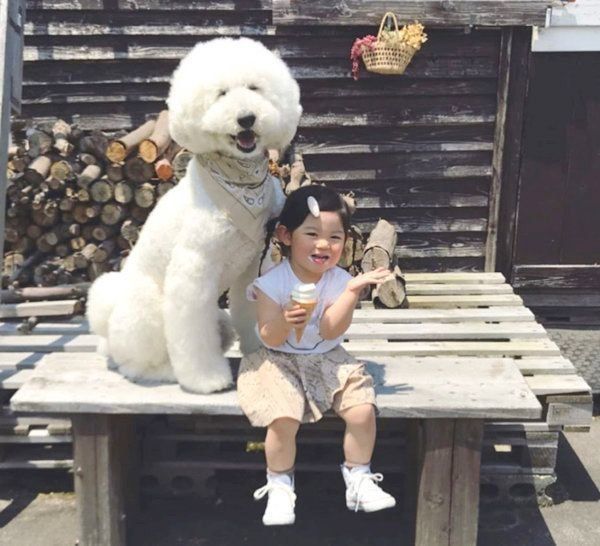 仲良しなスタンダード・プードルと女の子