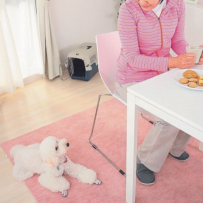 撮影/尾﨑たまき