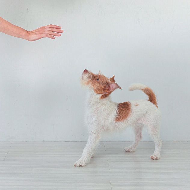 撮影／伊東武志