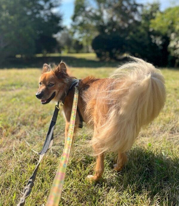 楽しそうなトリスタンくん