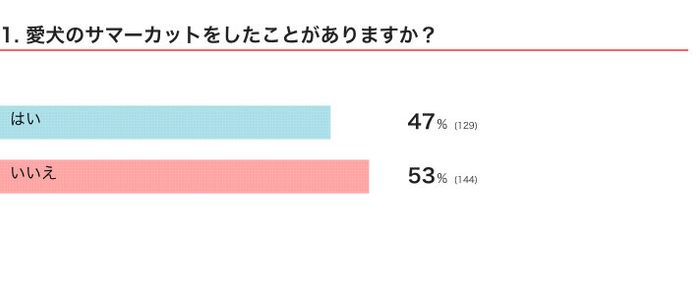 愛犬のサマーカットをしたことがある?