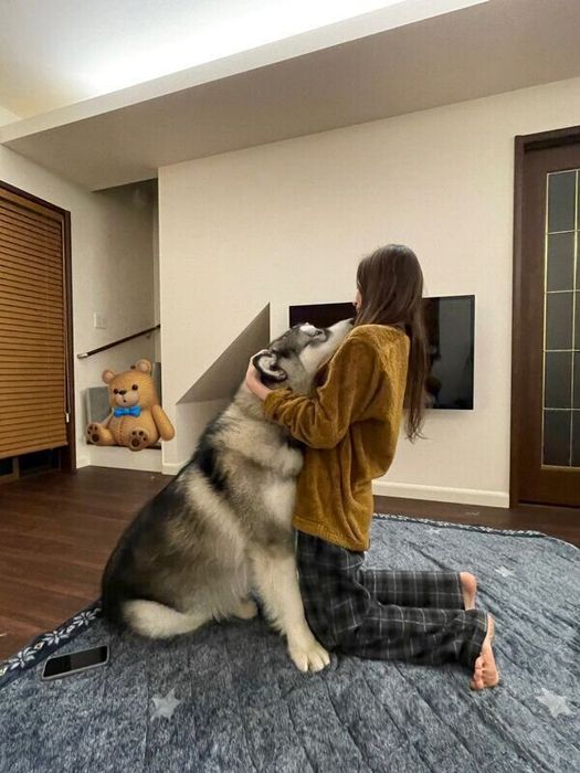 飼い主さんにくっつくアルくん