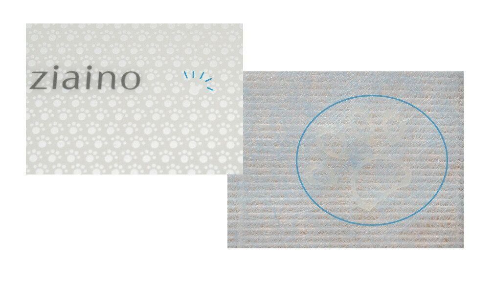 インターペット2024 パナソニック 家電　HDペットカメラ 脱臭機　ジアイーノ　デジタルカメラ　ルミックス　クリーンドック　掃除機