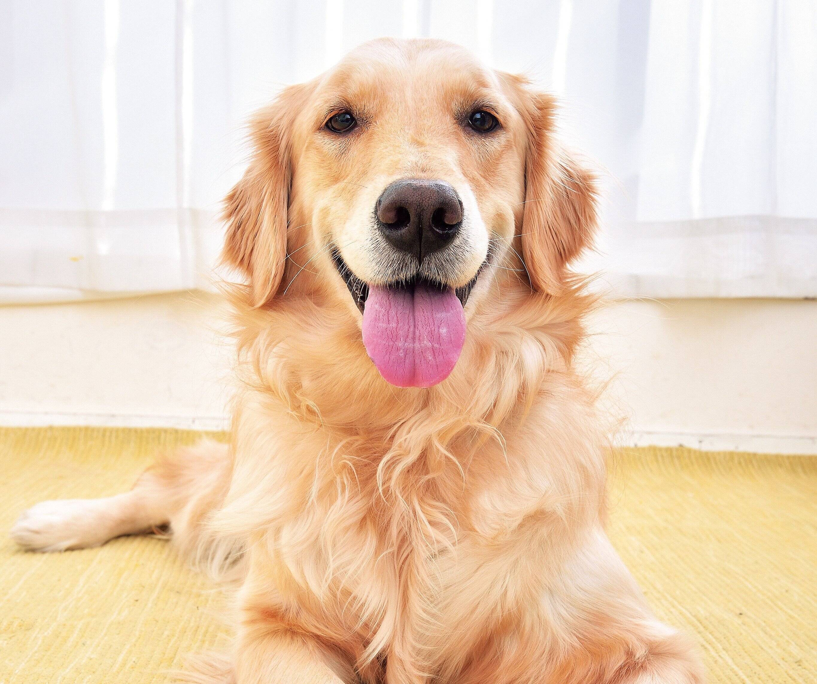 撮影／佐藤正之、尾﨑たまき