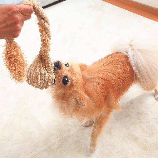 撮影／尾﨑たまき