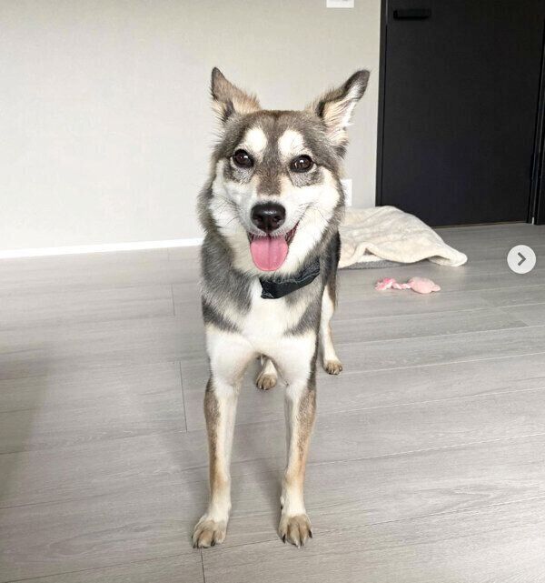 笑顔が可愛いララちゃん