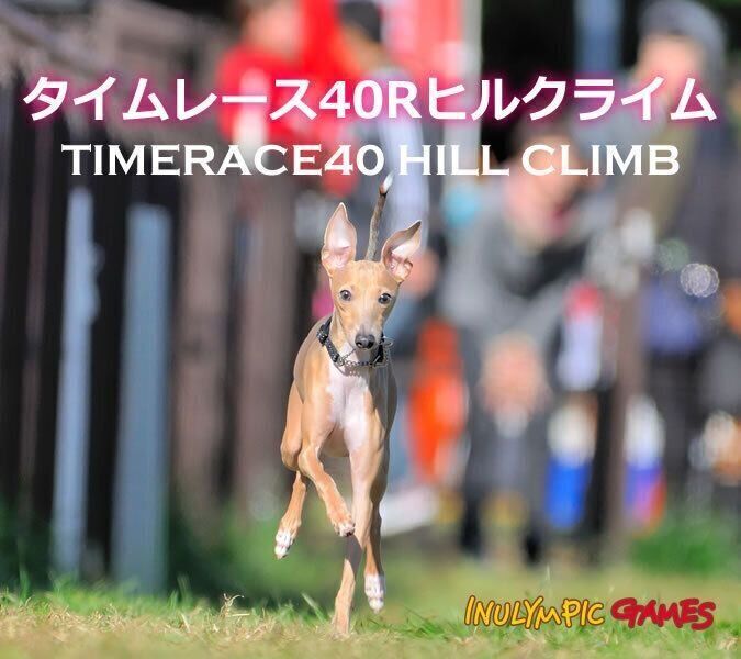 タイムレース40Rヒルクライム