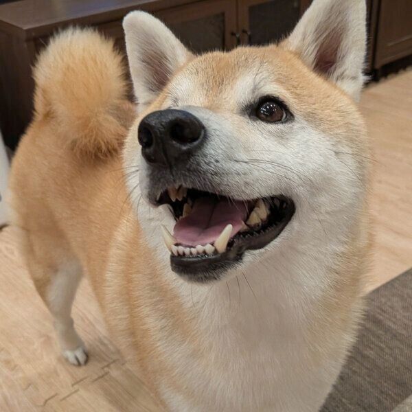 笑顔のふくすけくん