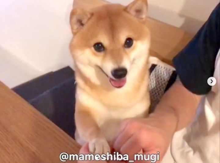 Ggr8g9u87i E M Ggr8g9u87i E M