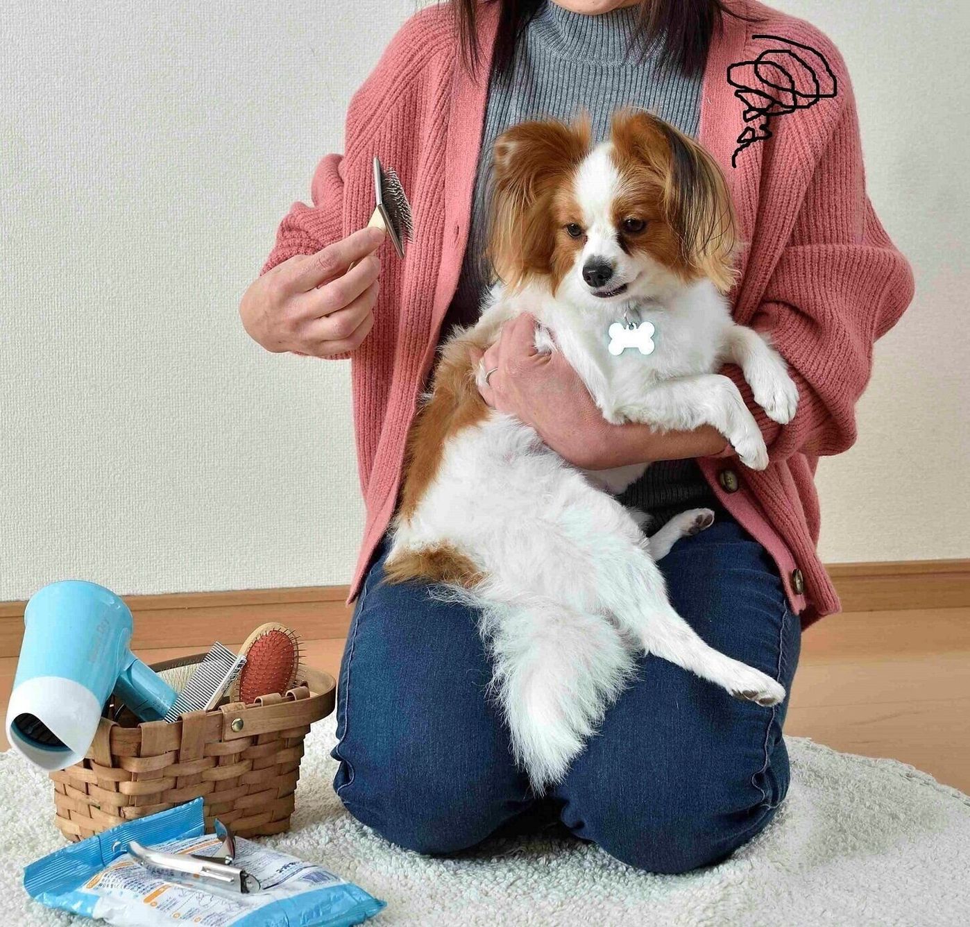 愛犬のストレスになるから しない は じつは間違いだった いぬのきもちweb Magazine 愛犬のストレスになるから しない は じつは間違いだった いぬのきもちweb Magazine