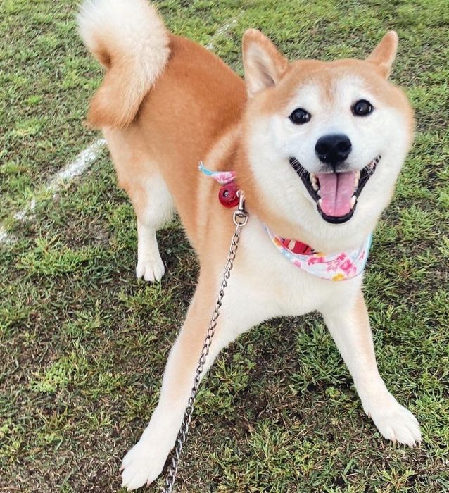 楽しそうなケンタくん