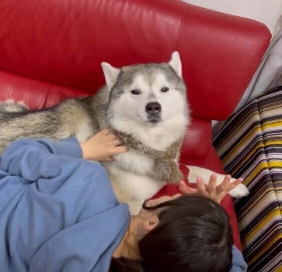 なかなか寝てくれない文太くん