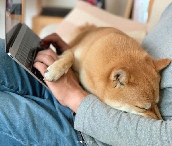 甘えるおまめちゃん