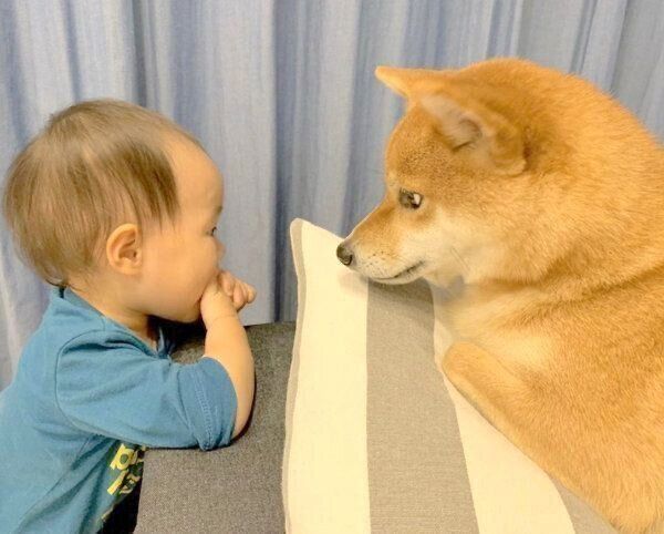 見つめ合うモモ子ちゃんと花子ちゃん