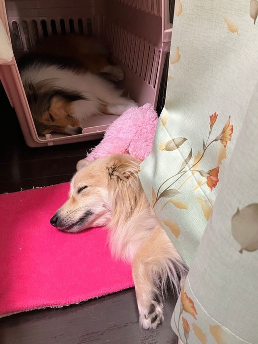 1年後、こんなに仲よしになりました!