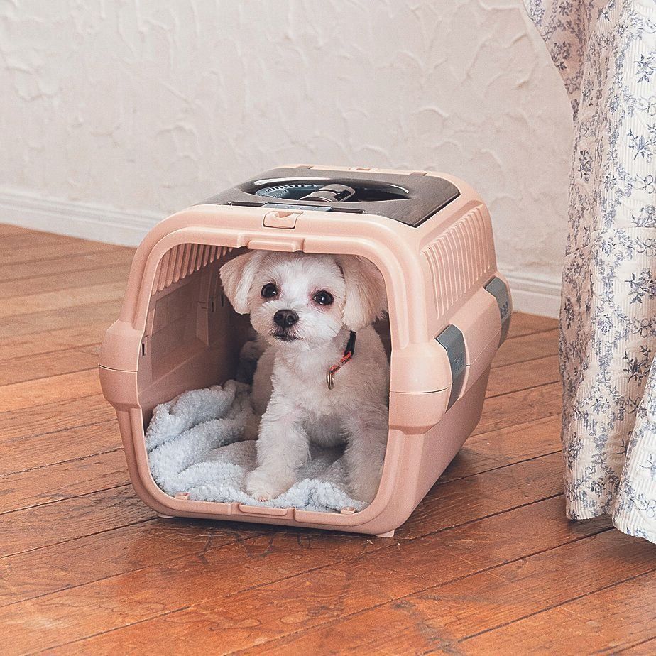 ふだんからハウスとして使うのがポイント