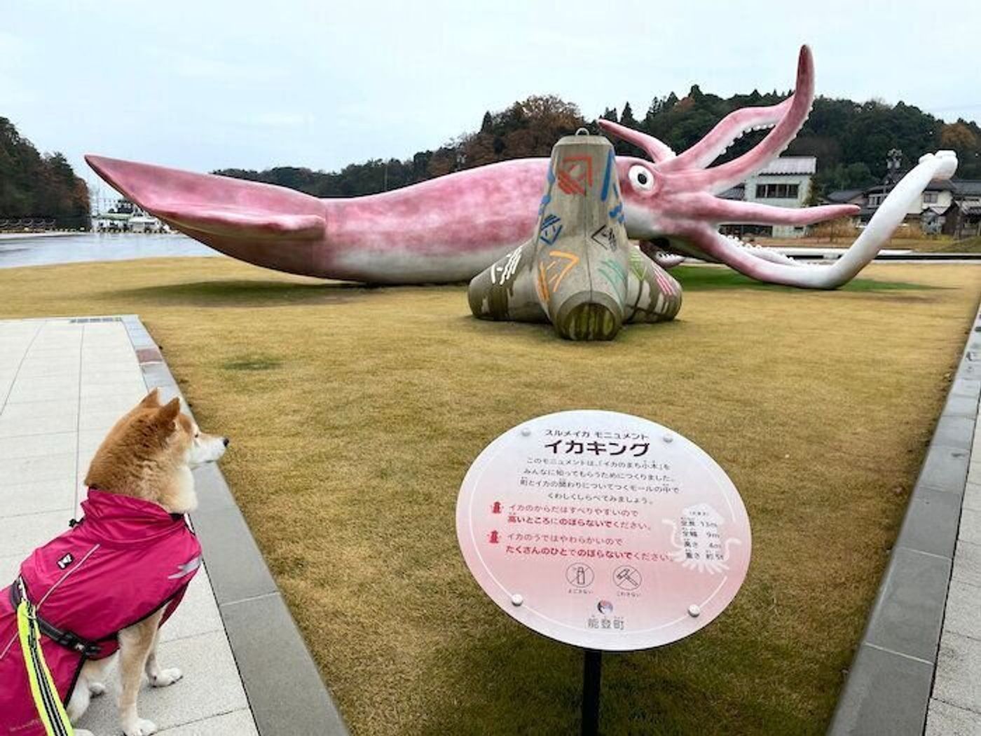 柴犬マロたんとイカキングの楽しい思い出 一緒の時間の大切さ を再確認した旅 いぬのきもちweb Magazine 柴犬マロたんとイカキングの楽しい思い出 一緒の時間の大切さ を再確認した旅 いぬのきもちweb Magazine