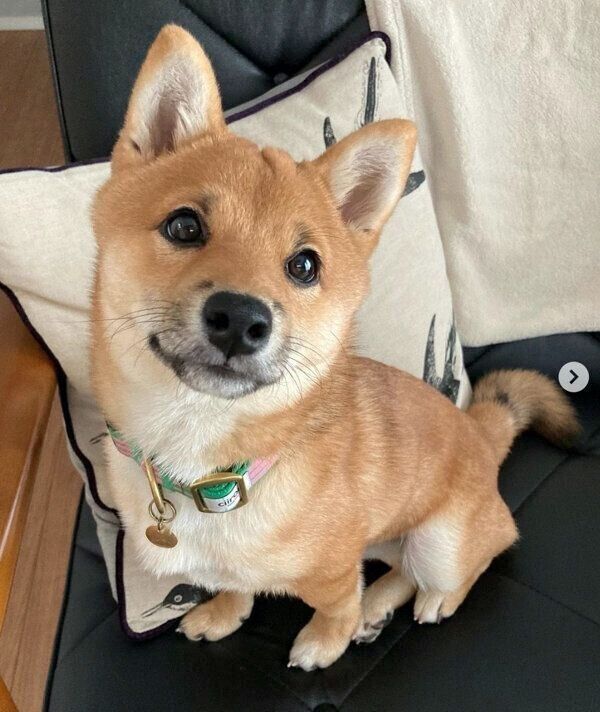 見つめるまるくん