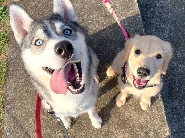 仲良しなロッカちゃんとポックルちゃん