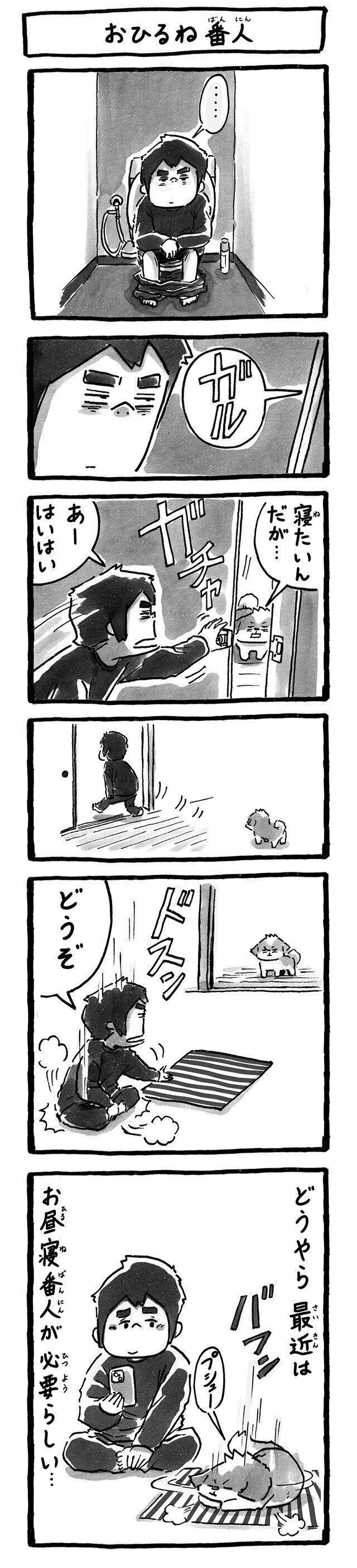 シーズー犬マンガてんぽshihtzu