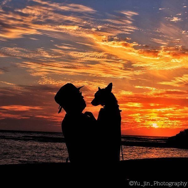 ひかりちゃんと飼い主さん