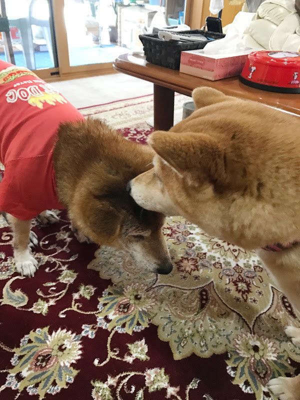 さっちゃん大丈夫？