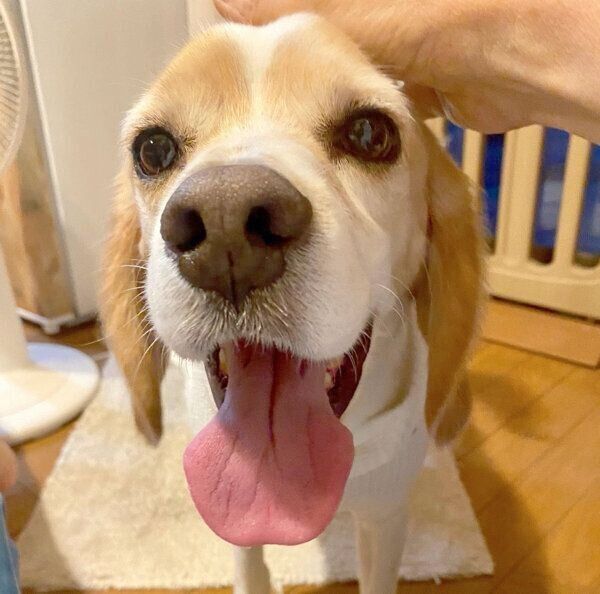 嬉しそうなウィルくん